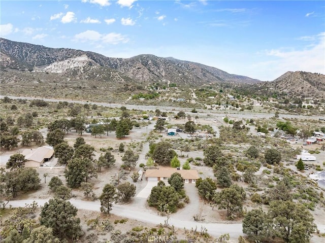 7370 Scrub Oak Dr, Wrightwood, CA 92397 - photo 37