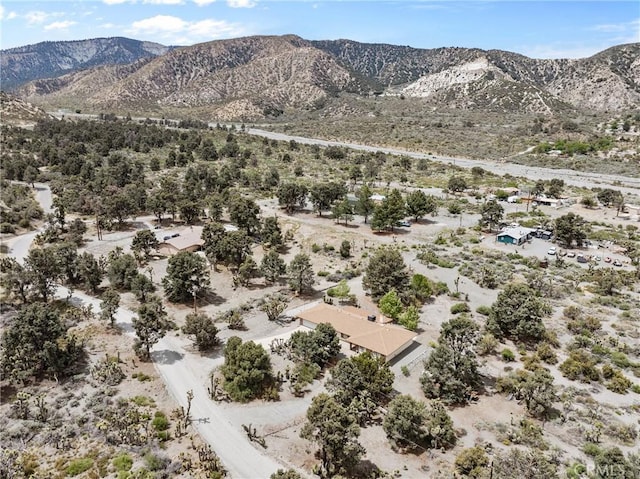7370 Scrub Oak Dr, Wrightwood, CA 92397 - photo 34