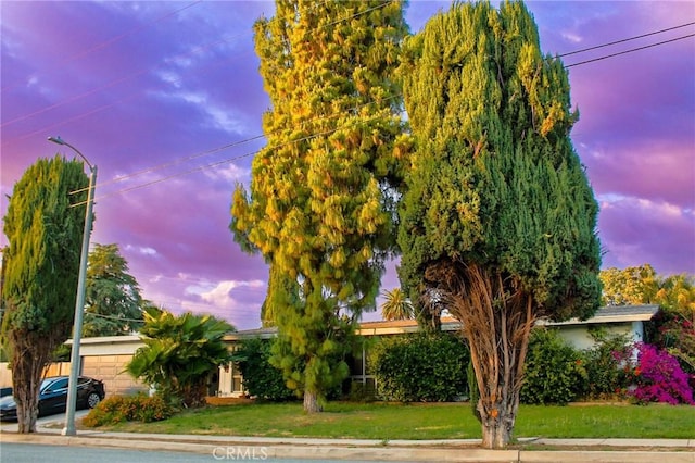 615 Monterey St, Redlands, CA 92373 - obstructed view of property with a garage and a yard