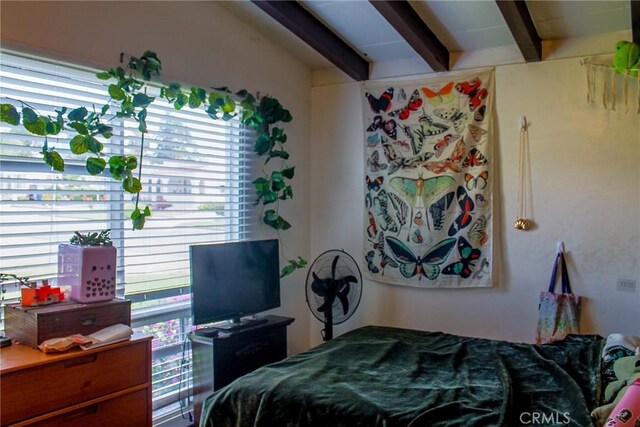 615 Monterey St, Redlands, CA 92373 - photo 10