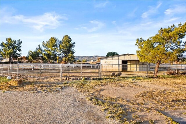 59083 Coyote Canyon Rd, Anza, CA 92539 - photo 27