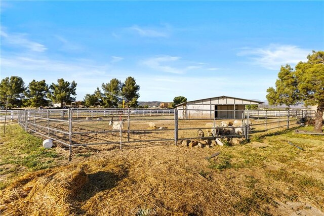 59083 Coyote Canyon Rd, Anza, CA 92539 - photo 42