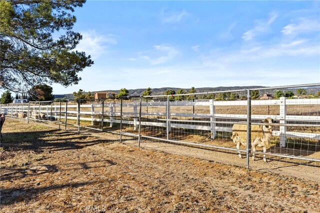 59083 Coyote Canyon Rd, Anza, CA 92539 - photo 26