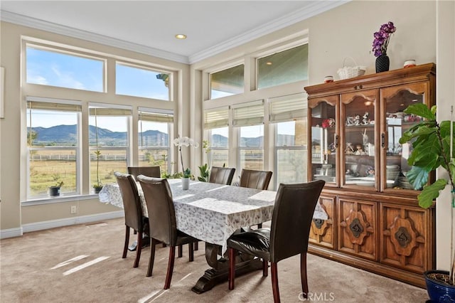 59083 Coyote Canyon Rd, Anza, CA 92539 - photo 13