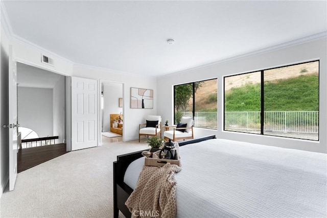 28705 Charreadas, Laguna Niguel, CA 92677 - carpeted bedroom with ornamental molding