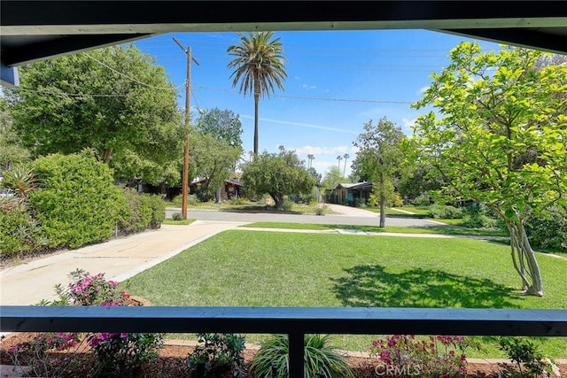 859 N Chester Ave, Pasadena, CA 91104 - view of green lawn