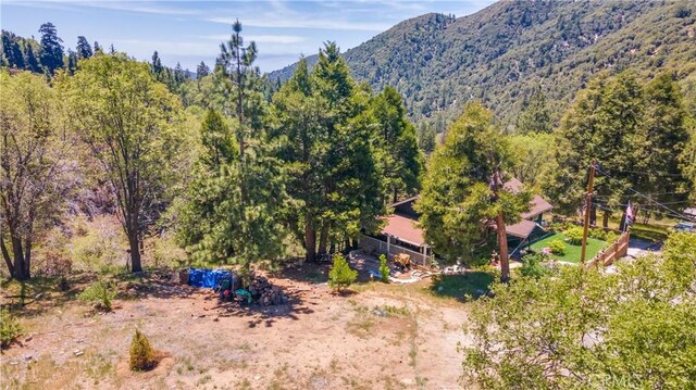 6031 Tripp Ln, Angelus Oaks, CA 92305 - photo 4