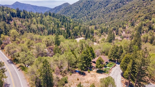 6031 Tripp Ln, Angelus Oaks, CA 92305 - drone / aerial view of a forest and a mountain backdrop