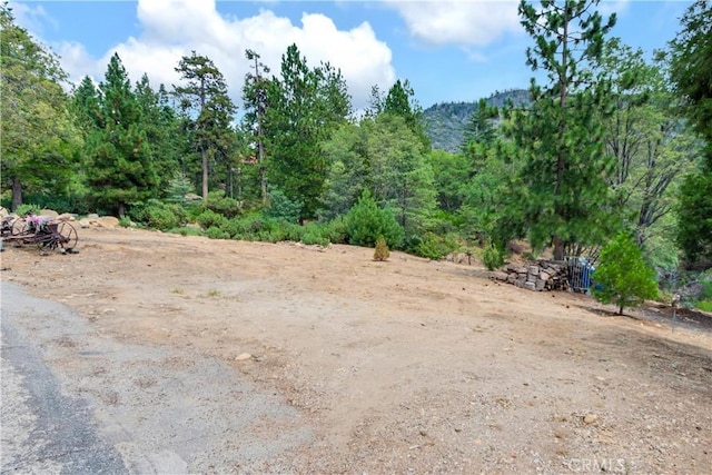 6031 Tripp Ln, Angelus Oaks, CA 92305 - photo 34
