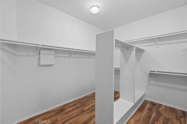 walk in closet featuring wood finished floors