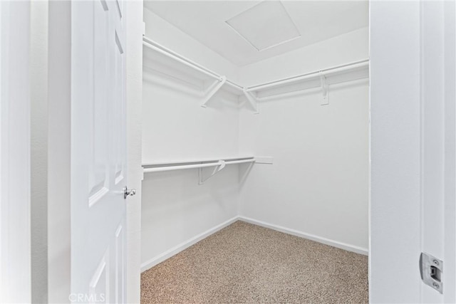 25641 Indian Hill Ln Unit C, Laguna Hills, CA 92653 - spacious closet with carpet floors and attic access