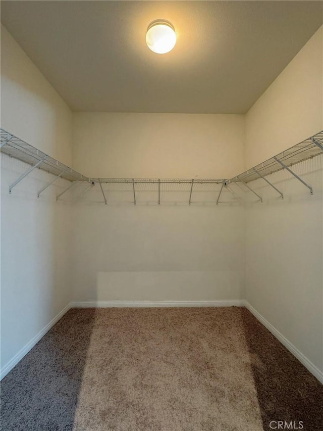 3397 Sequoia Ct, Perris, CA 92570 - walk in closet with carpet
