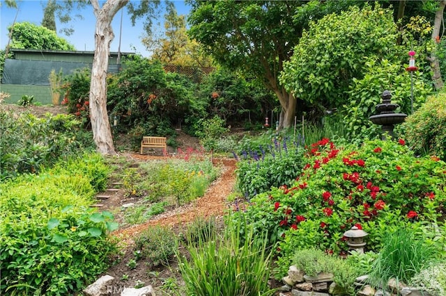 645 Griffith Way, Laguna Beach, CA 92651 - view of yard
