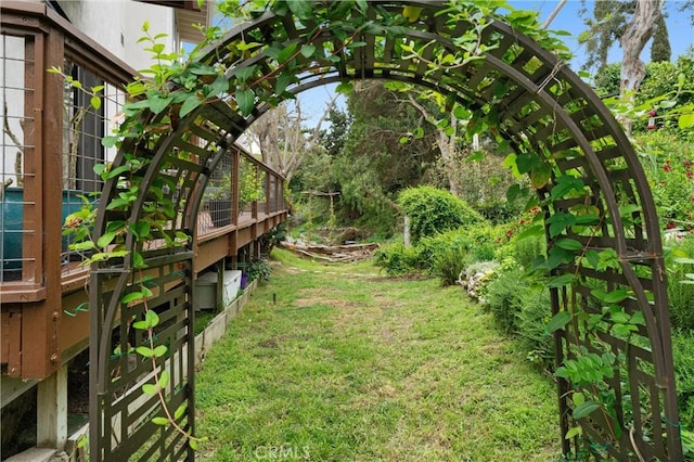 645 Griffith Way, Laguna Beach, CA 92651 - view of green lawn