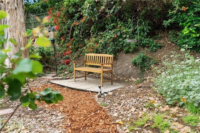 645 Griffith Way, Laguna Beach, CA 92651 - view of yard