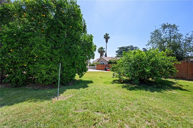 1980 N Sierra Way, San Bernardino, CA 92405 - view of yard