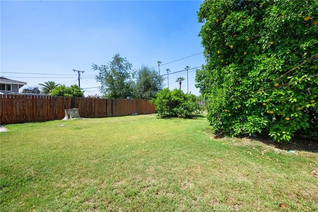 1980 N Sierra Way, San Bernardino, CA 92405 - view of yard