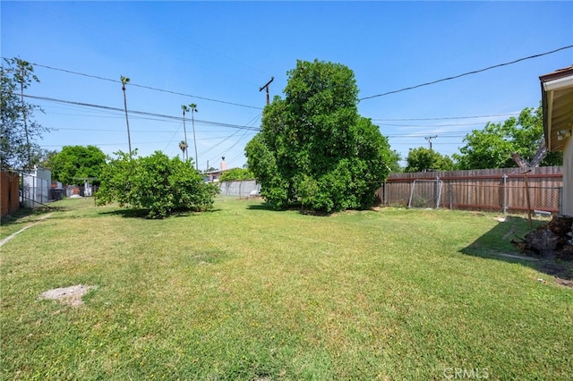 1980 N Sierra Way, San Bernardino, CA 92405 - view of yard