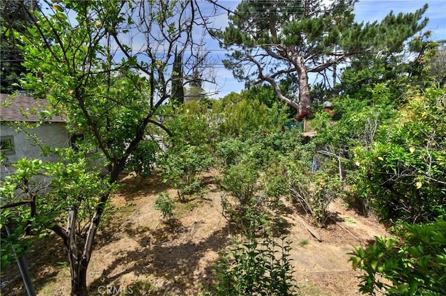 5625 Matilija Ave, Valley Glen, CA 91401 - view of undeveloped land