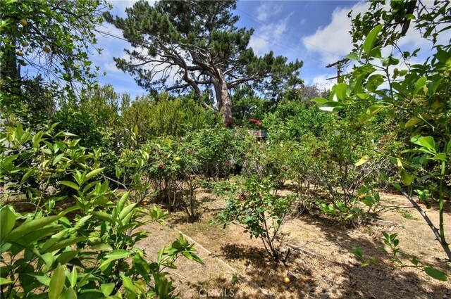 5625 Matilija Ave, Valley Glen, CA 91401 - view of undeveloped land