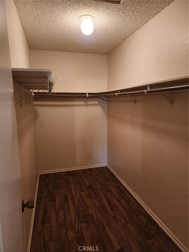 2120 Jacaranda Ct, San Bernardino, CA 92404 - spacious closet with dark wood-style floors