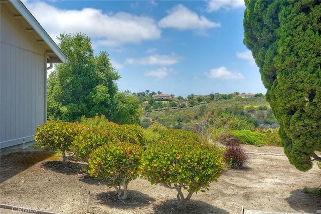 4273 Spoon Bill Way, Oceanside, CA 92057 - view of yard