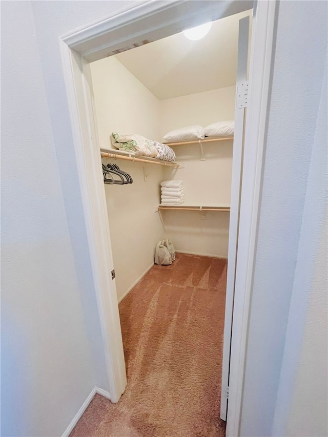 4772 Marrieta St, Jurupa Valley, CA 91752 - spacious closet with carpet flooring