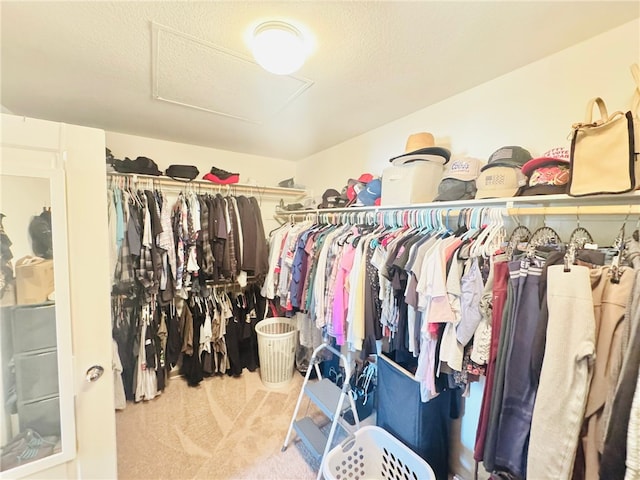 4772 Marrieta St, Jurupa Valley, CA 91752 - walk in closet with attic access and carpet floors
