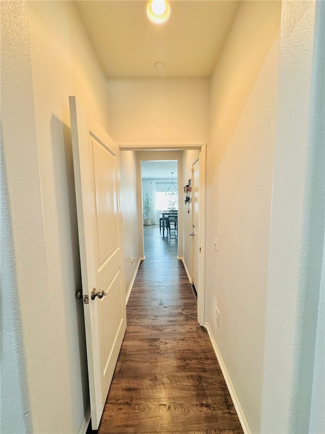 4772 Marrieta St, Jurupa Valley, CA 91752 - hall with dark wood-type flooring and baseboards