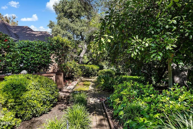 525 Laguna Rd, Pasadena, CA 91105 - view of yard