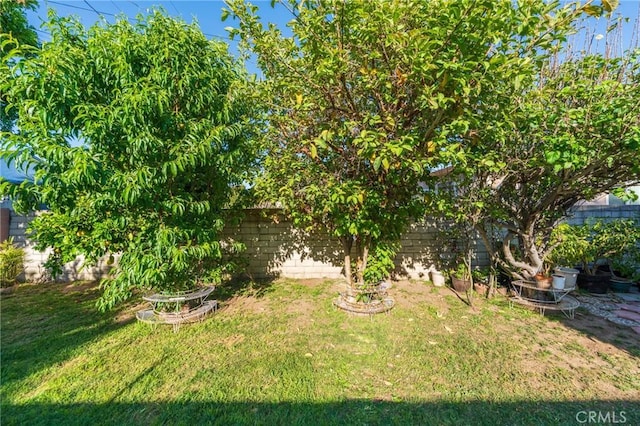 1763 W 245th St, Torrance, CA 90501 - view of yard