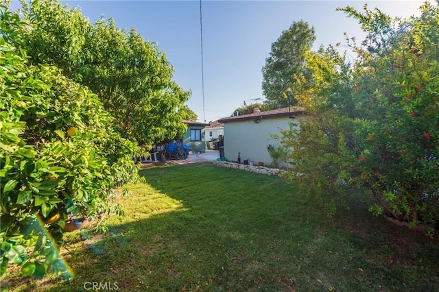 1763 W 245th St, Torrance, CA 90501 - view of green lawn