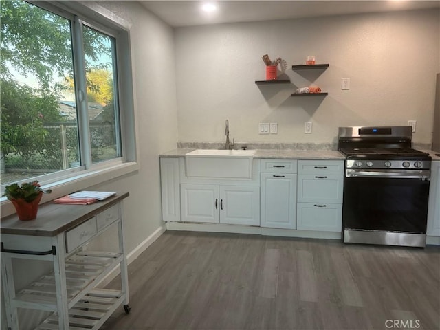 8825 Old Santa Rosa Rd, Atascadero, CA 93422 - kitchen with stainless steel range with gas stovetop, healthy amount of natural light, wood finished floors, and light countertops