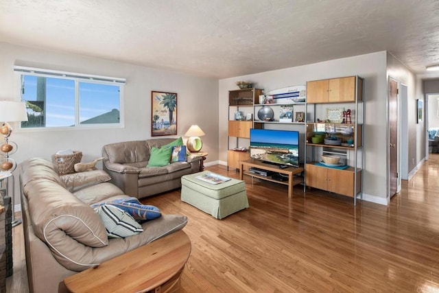 1855 Rubenstein Dr, Cardiff By The Sea, CA 92007 - living area featuring wood finished floors, baseboards, and a textured ceiling