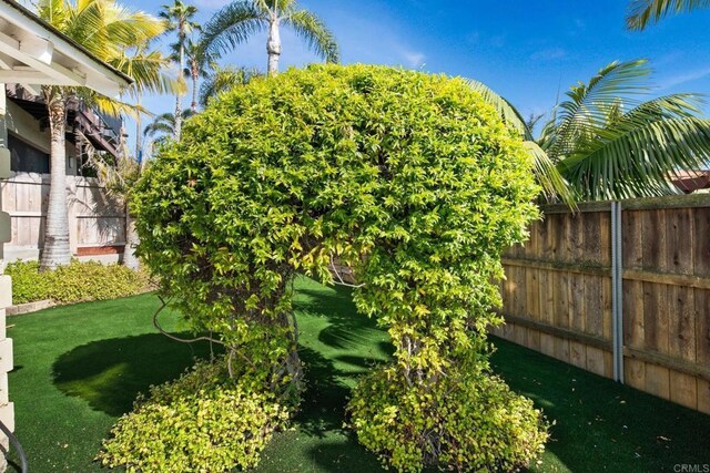 1855 Rubenstein Dr, Cardiff By The Sea, CA 92007 - view of yard