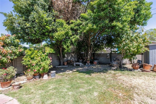 14719 Wyandotte St, Van Nuys, CA 91405 - view of yard