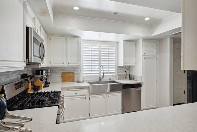 4455 Fulton Ave Unit 2, Sherman Oaks, CA 91423 - kitchen with stainless steel appliances, a raised ceiling, ornamental molding, tasteful backsplash, and a sink
