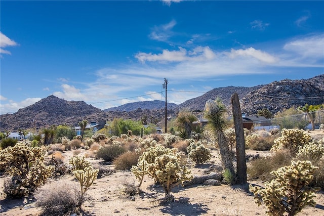 4444 Navajo Trl, Joshua Tree, CA 92252