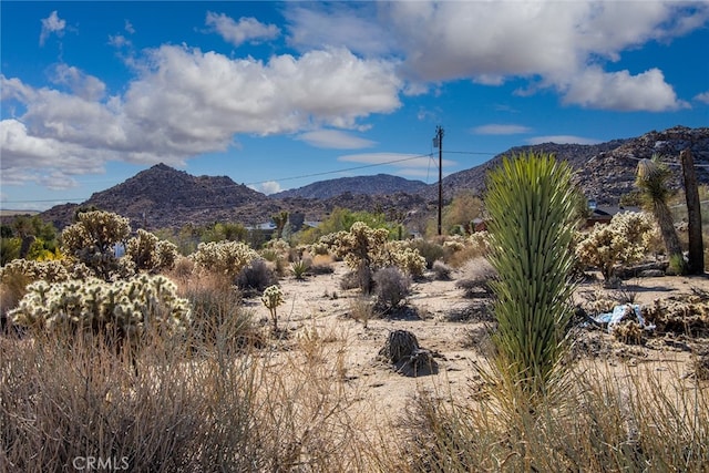 4444 Navajo Trl, Joshua Tree, CA 92252