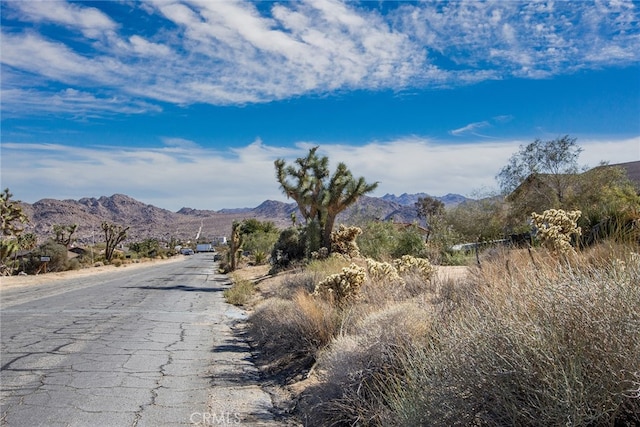 4444 Navajo Trl, Joshua Tree, CA 92252