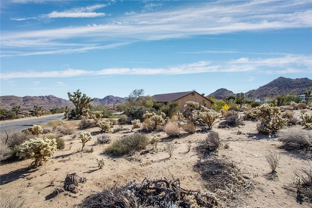 4444 Navajo Trl, Joshua Tree, CA 92252