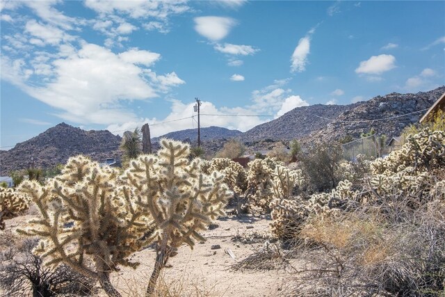 4444 Navajo Trl, Joshua Tree, CA 92252