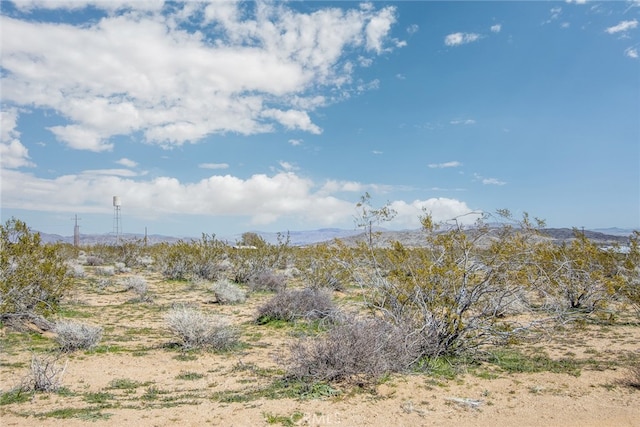 55875 Desideria Dr, Landers, CA 92285