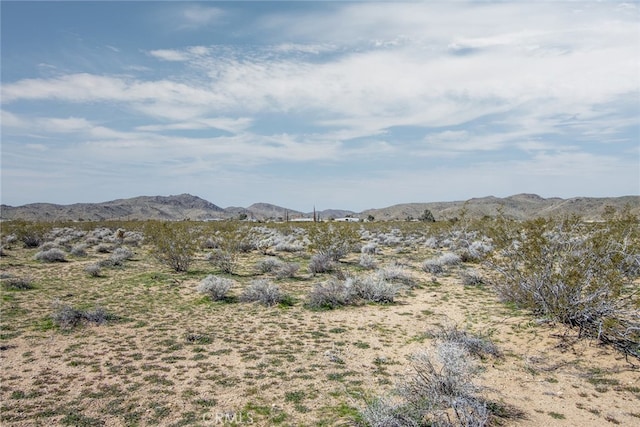 55875 Desideria Dr, Landers, CA 92285