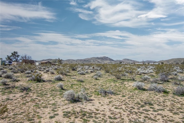 55875 Desideria Dr, Landers, CA 92285