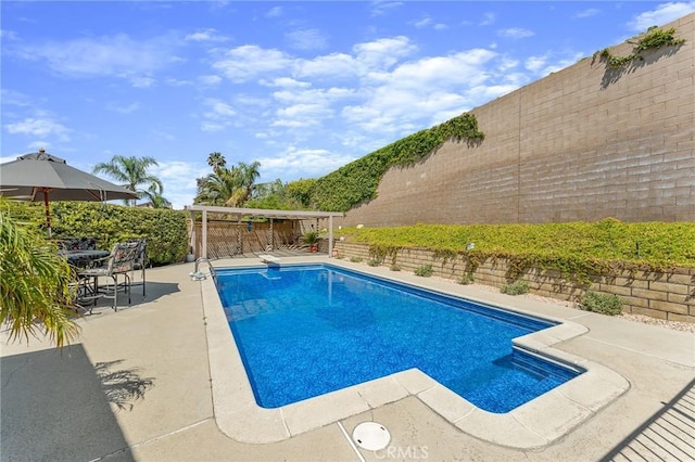 view of pool featuring a fenced backyard and a patio