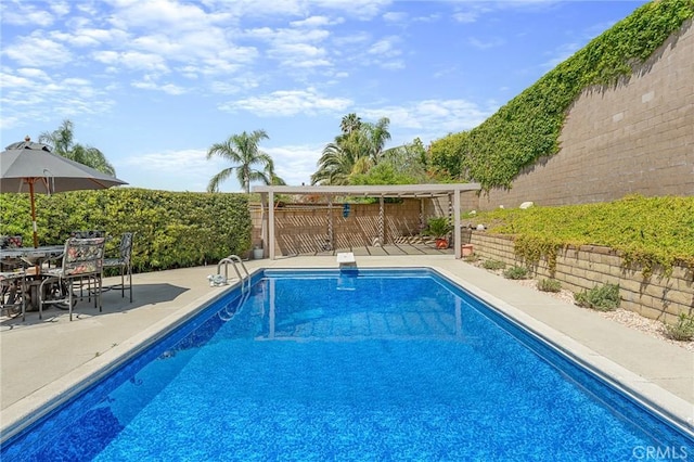 view of swimming pool with a fenced backyard and a patio