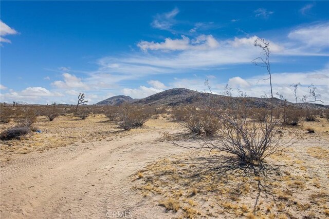 4 Burke Rd, Landers, CA 92285