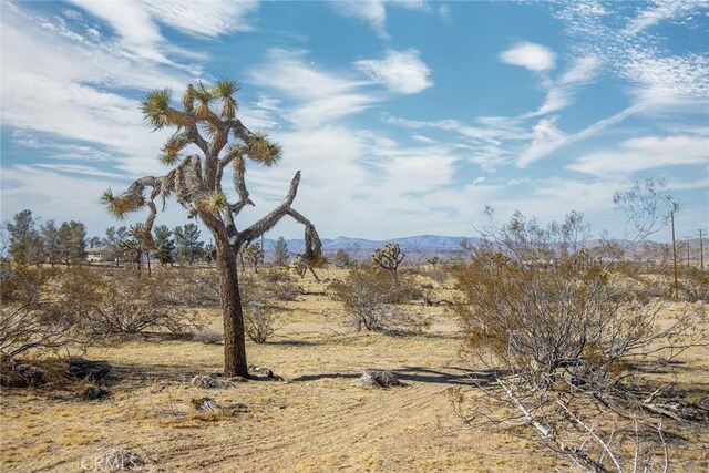 4 Burke Rd, Landers, CA 92285