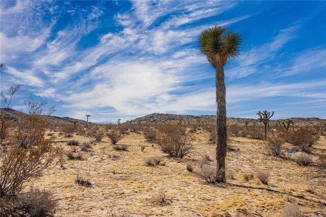 4 Burke Rd, Landers, CA 92285